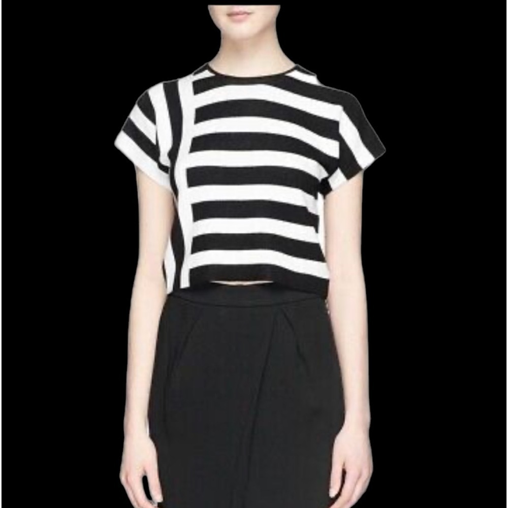 Theory Seblyn Cropped Knit Top EUC 
Size SP - Picture 2 of 7
